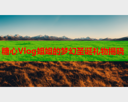 糖心Vlog姐姐的梦幻圣诞礼物揭晓  第1张